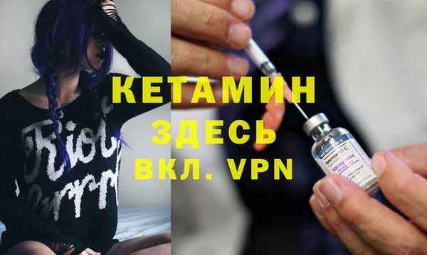 дживик Ельня