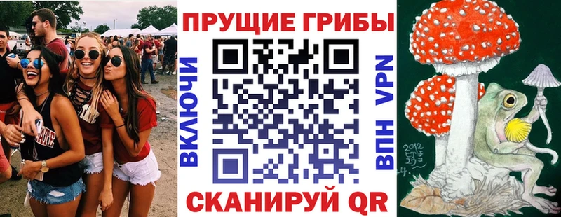 Псилоцибиновые грибы Psilocybine cubensis  Электрогорск 